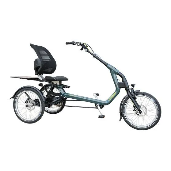 Van Raam Easy Rider für Erwachsene
