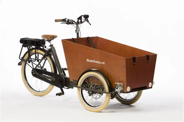 Bakfiets Cargo Trike Lastenfahrrad