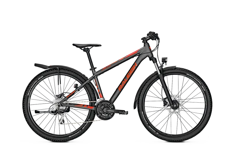 Raleigh Daymax ATB