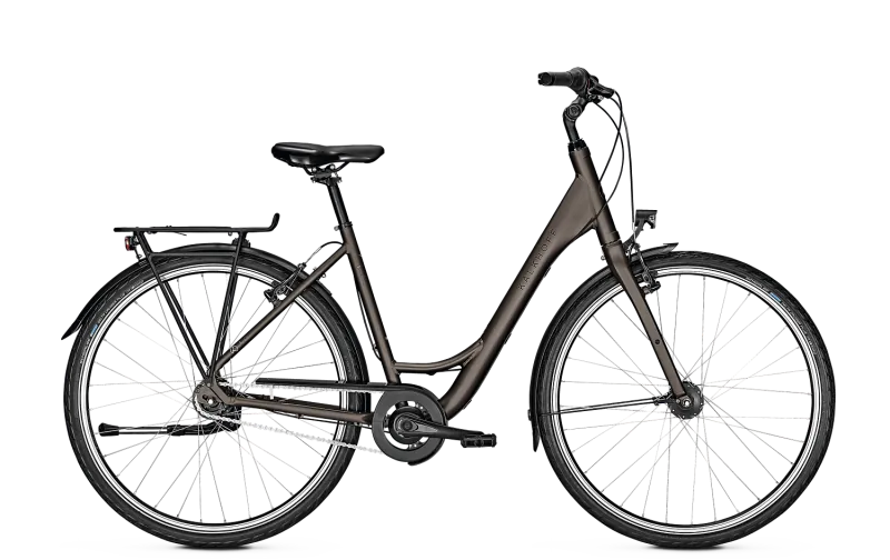Kalkhoff Image Lite