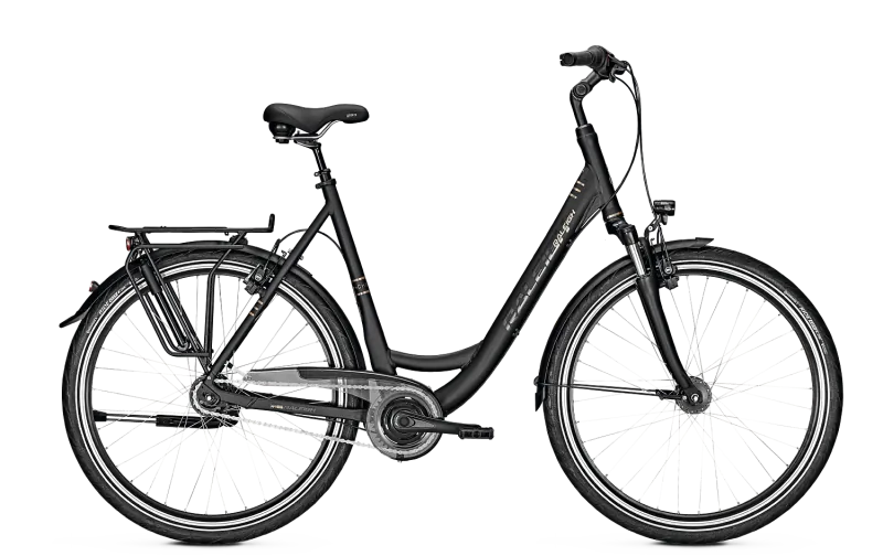 Raleigh Chester 8 XXL